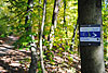 Wandern mit dem Wanderprofi am FrankenwaldSteiglas „Rehberg-Weg“ Wandern mit dem Wanderprofi am FrankenwaldSteiglas „Rehberg-Weg“