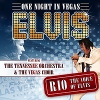 One Night in Vegas - Elvis the Show!