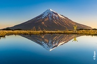 Bilder der Erde: Neuseeland - ein halbes Jahr durchs Land der Kiwis